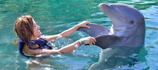 Sensibiliser ses enfants à la protection des animaux aquatiques