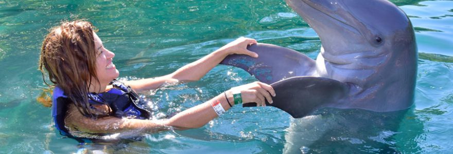 Sensibiliser ses enfants à la protection des animaux aquatiques