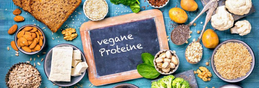 protéines végétales